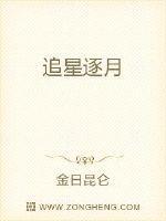 追星逐月之顶峰相见