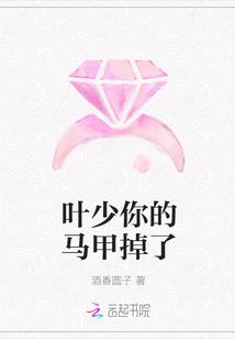 叶少你的马甲掉了2短剧免费观看