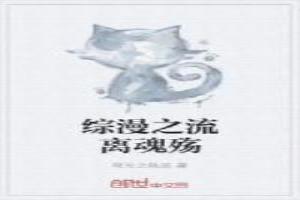 综漫之灵魂归一txt