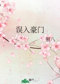 误入豪门橙光游戏攻略