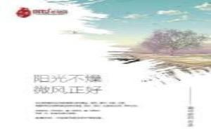 阳光不燥微风正好文案