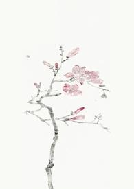 燕尔(古言1v1)尔容续写