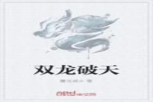 双龙飞天是什么意思