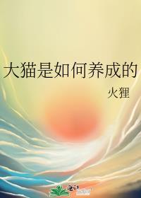 大猫咪怎么养家