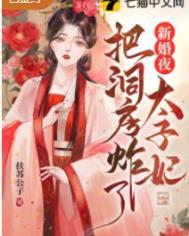 新婚夜太子妃把洞房炸了的龙慕言为