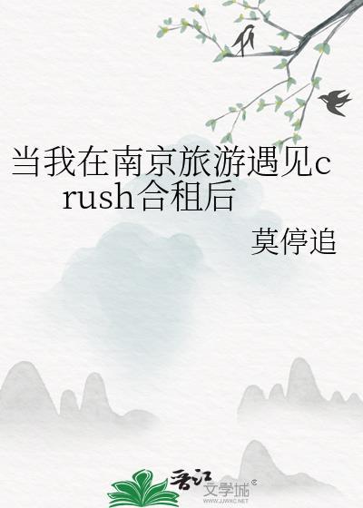 当我在南京旅游遇见crush合租后番外txt