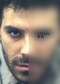 libido原欲飞机能飞