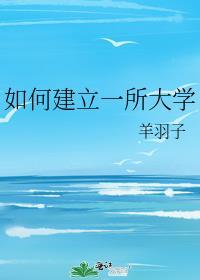 如何建立一所大学讲的什么