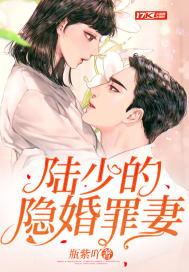 陆少的隐婚罪妻免费版