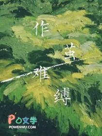 作茧难缚叶芫讲什么