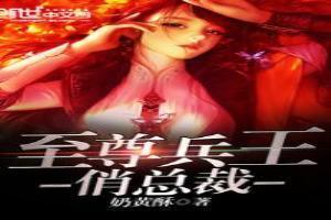 至尊兵王俏总裁苏城