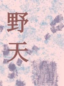 野天鹅主要内容30字