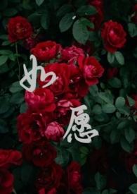 如愿以偿是什么意思