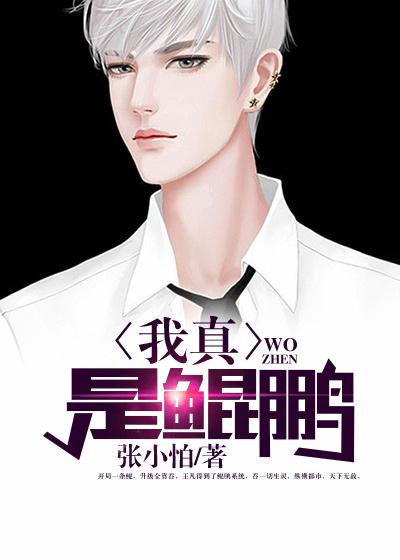 我鲲鹏开局吞了接引