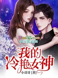 我的冷艳女神妻子宋小雅