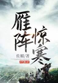 渔舟唱晚 雁阵惊寒