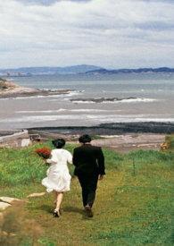 女神的宠物西瓜啵啵啵的最新章节内容