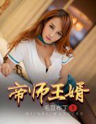 帝师王婿叶凡何思凝 毛豆布丁