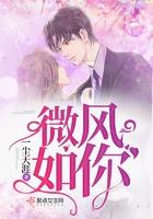 微风如你讲的什么