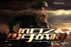 抗日之少年战将张锐免费阅读