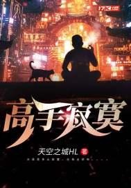 高手寂寞介绍