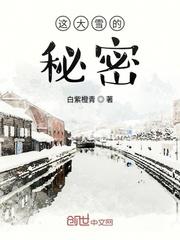 播放大雪的迷踪