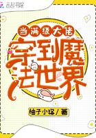 当满级大佬发车以后