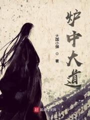 炉中大道txt