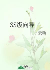 ss级向导的人物介绍