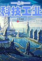 魔幻科技工业txt