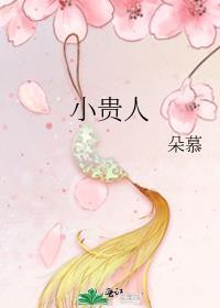 小贵人笔趣阁番外在线阅读