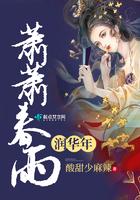 萧萧春雨密还疏 译文