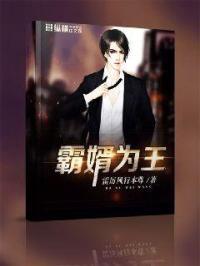霸婿55章