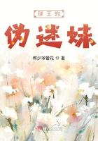 球迷的球王视频