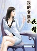 我的老婆是妖精疯狂的小马甲