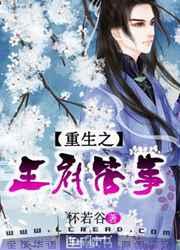 重生之王府管事顾正青