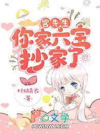 宫先生你家六宝钞家了阅读