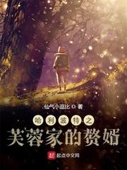 哈利波特之女主芙蓉