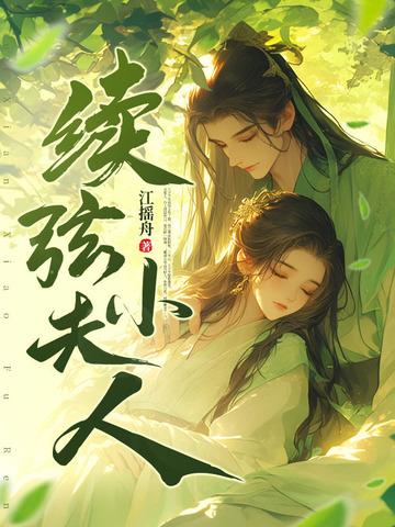 续弦小夫人全文免费阅读最新章节列表