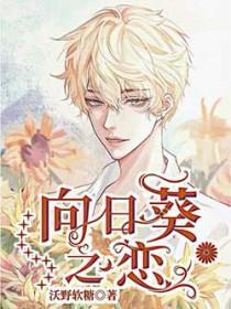 向日葵之恋作者沃野软糖