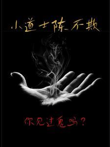 小道士陈不欺林子培去哪了