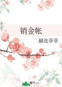 销金帐全文阅读