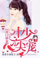 高门深爱霍少的临时新娘