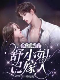 舒小姐已嫁人全集孙樾