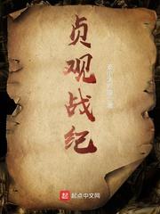 帮我简述一下贞观之战