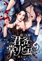 第一宠婚军爷的头号新妻