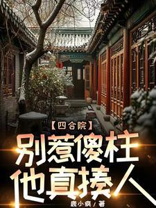 四合院傻柱不傻