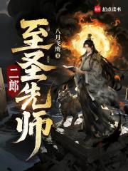 二郎至圣先师好看吗