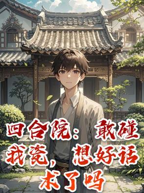 四合院真实视频