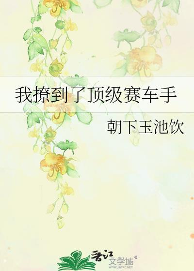 顶级赛车手游戏